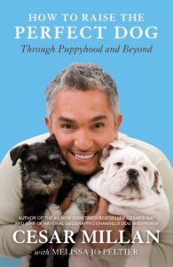 dog training books