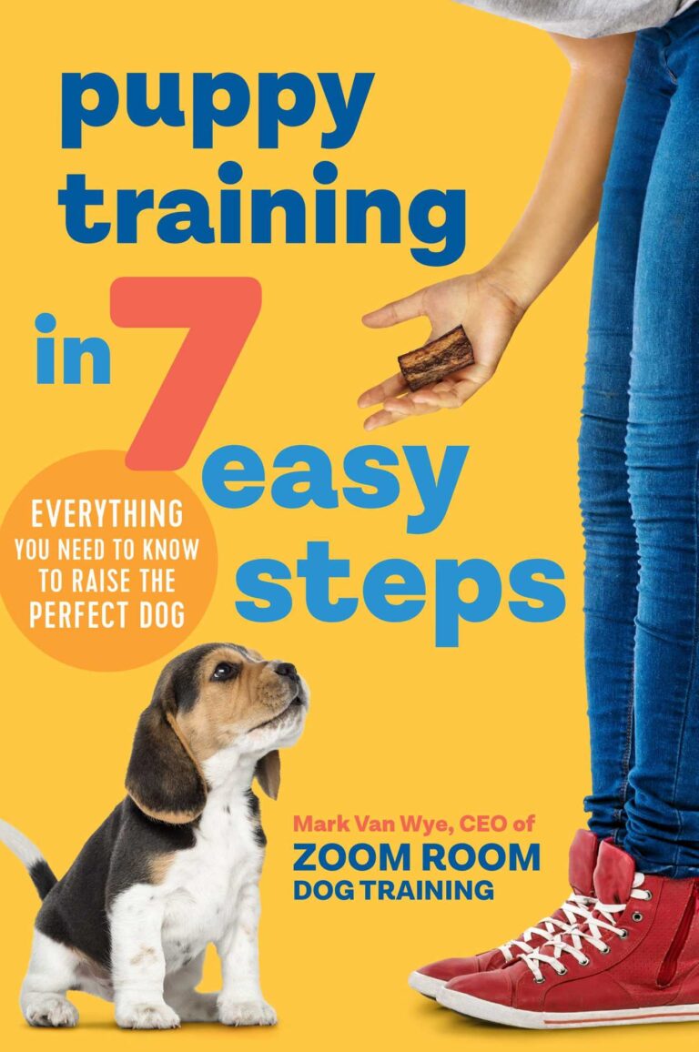 Puppy Training in 7 Easy Steps: Everything You Need to Know