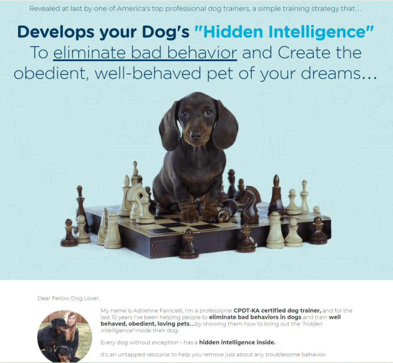 Brain Training for Dogs – An Online Training Course