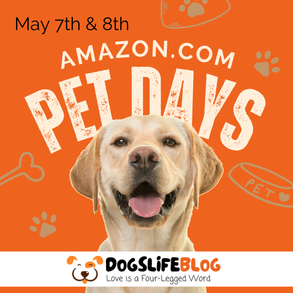 AMAZON Pet Day – All the best deals!