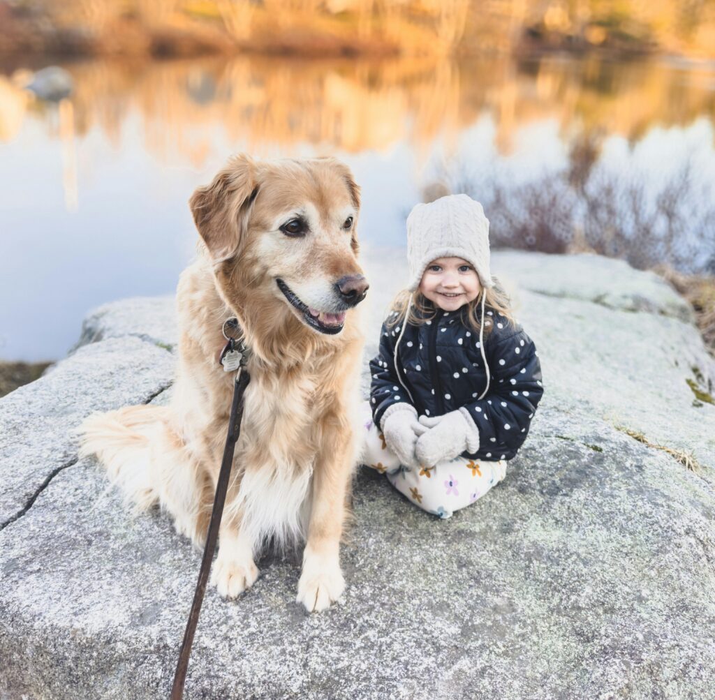 A little girl with her dog, a girl with her golden retriever