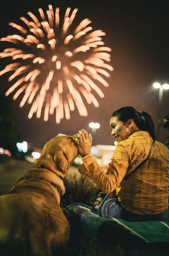 Don’t Let Fireworks Frighten Your Fido: Tips for a Calm and Happy Fourth of July