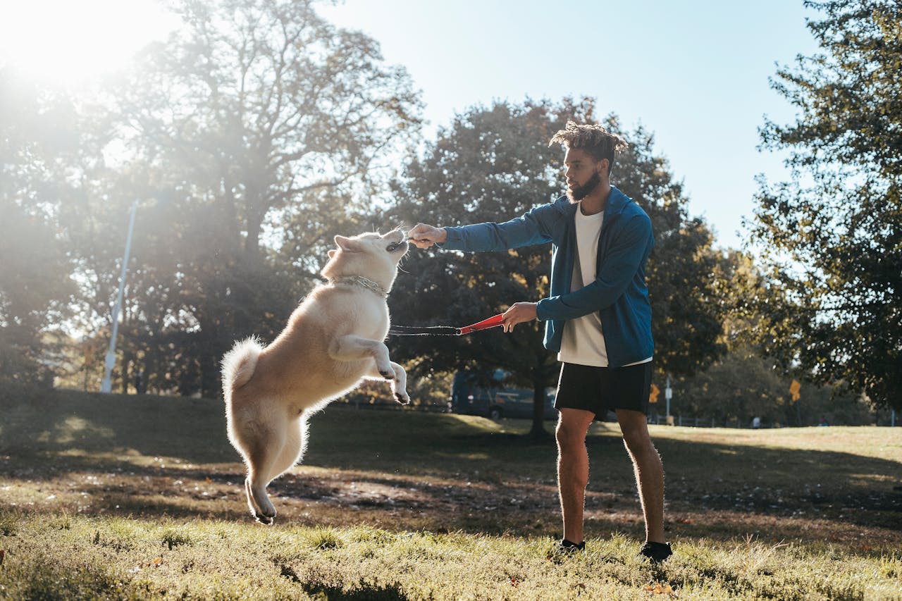 Man and dog playing together at park